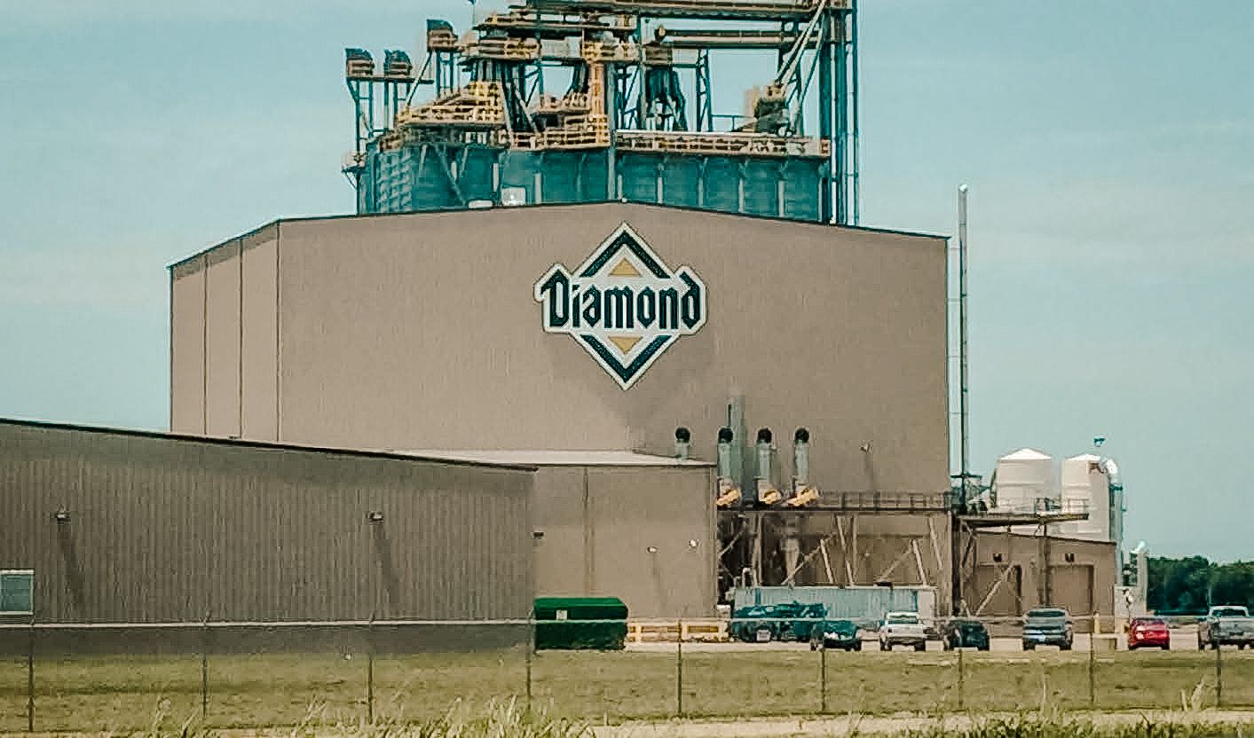 Diamond pet food deals